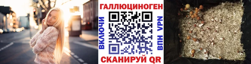 наркошоп  Никольск  Псилоцибиновые грибы Cubensis 